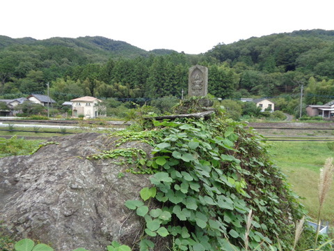 DSC02405