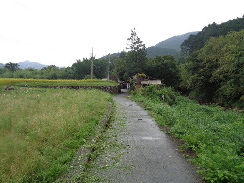 DSC01507