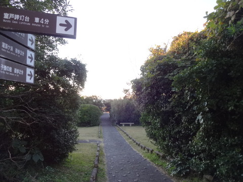 DSC01266