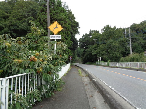DSC02387