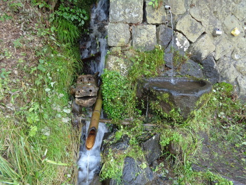 DSC00988