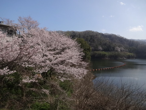 DSC04227