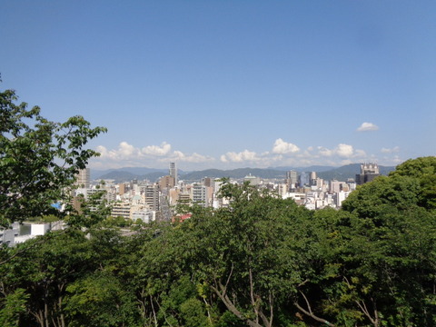 DSC09479