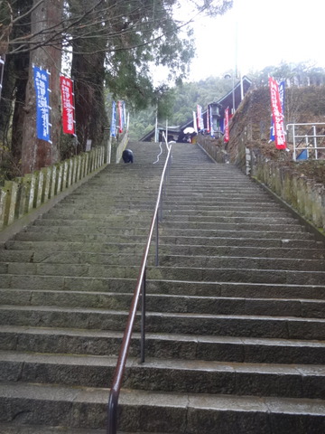 DSC03080