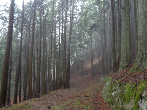 DSC04765