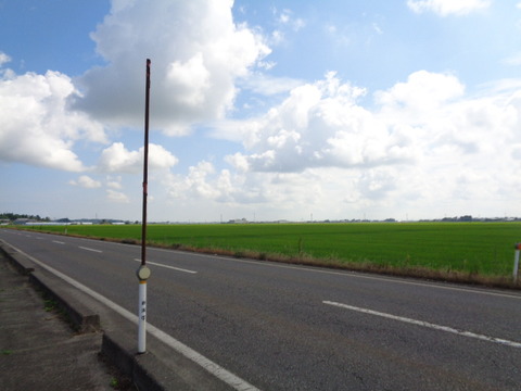 DSC08836