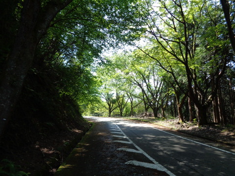 DSC03009