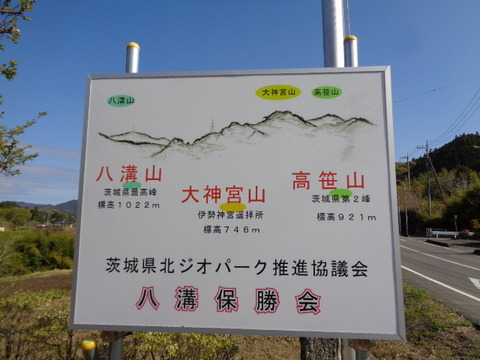 DSC09806