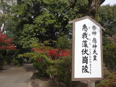 DSC01242
