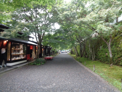 DSC01393