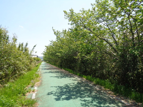 DSC01828