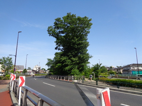 DSC00345