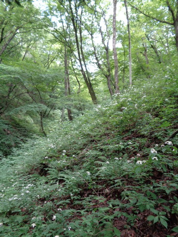DSC09419