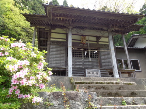 DSC05236