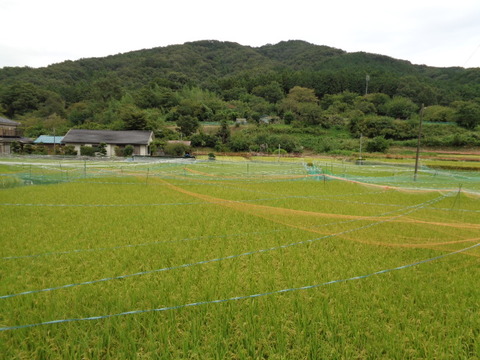 DSC02407