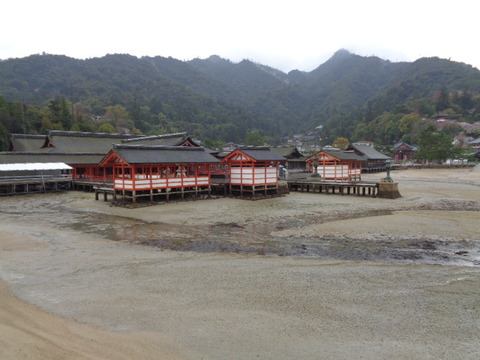 DSC09181