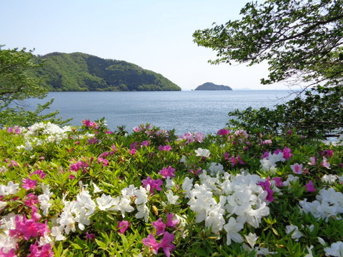 DSC03095