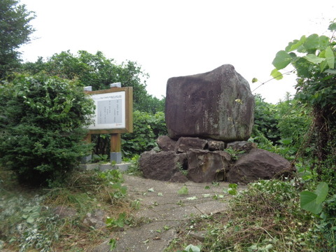 DSC01008