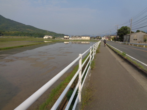 DSC07319