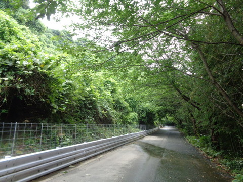 DSC00946