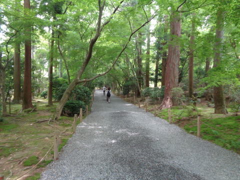 DSC00227