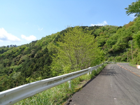 DSC02986