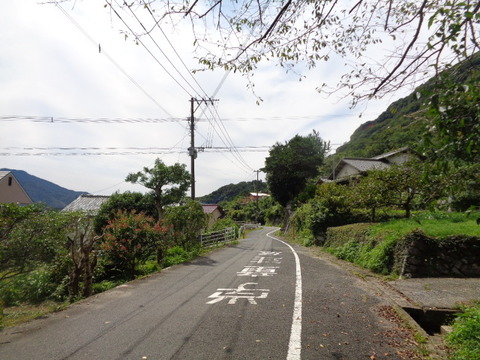 DSC02491