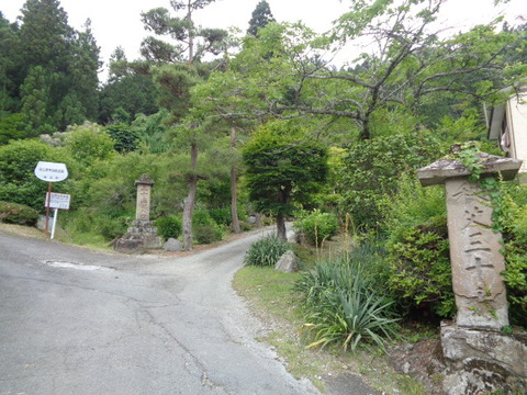 DSC02999