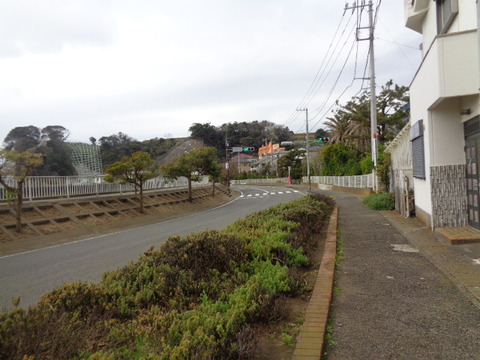DSC08454