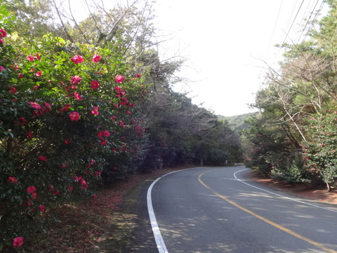 DSC00547