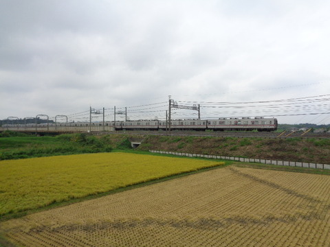 DSC02202