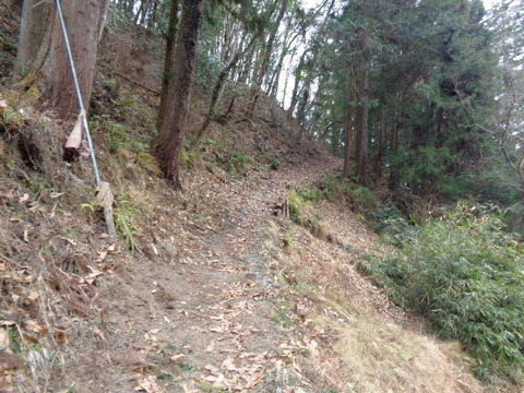 DSC09016