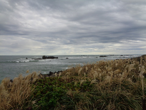 DSC08397