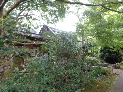 DSC01400