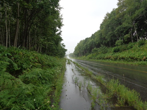 DSC04038