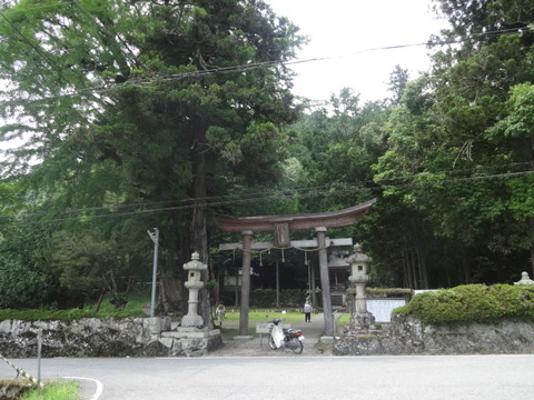 DSC08169