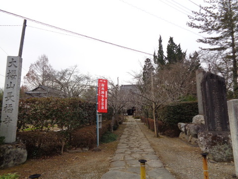 DSC08937