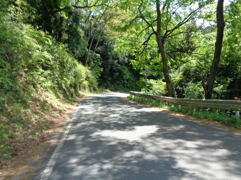 DSC01814