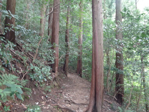 DSC02181