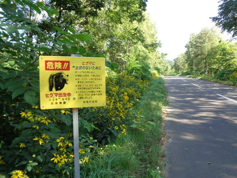 DSC04360