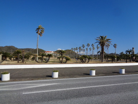 DSC01401
