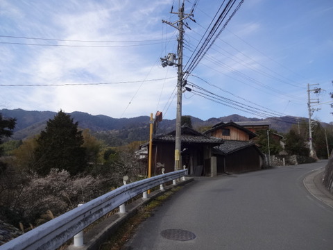DSC03951