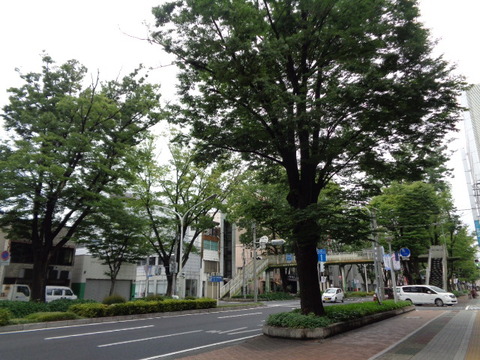DSC03954