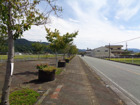 DSC02584