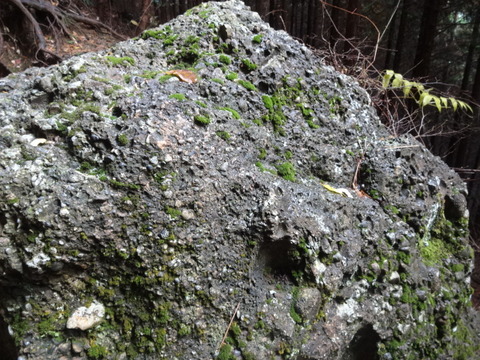 DSC01538