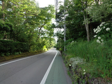 DSC09541