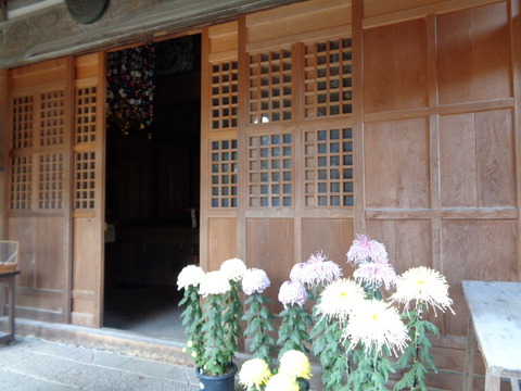 DSC04220
