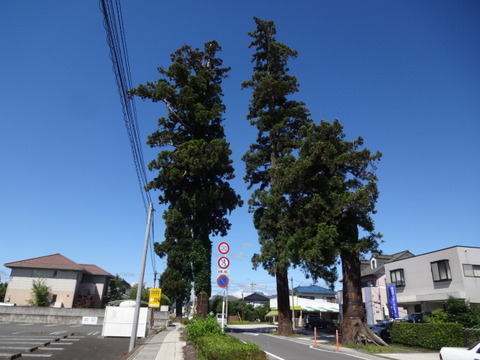 DSC08944