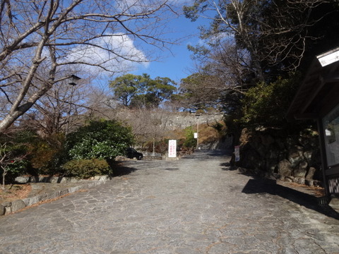 DSC03275