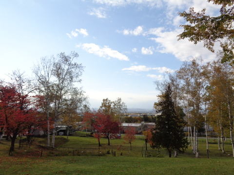 DSC03475